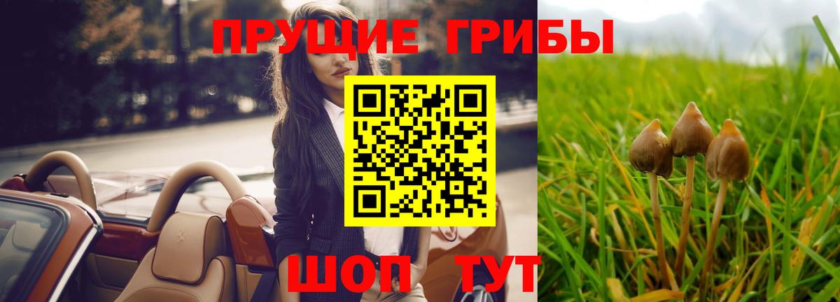 Галлюциногенные грибы мицелий  Вход с VPN  магазин продажи наркотиков  Мыски 